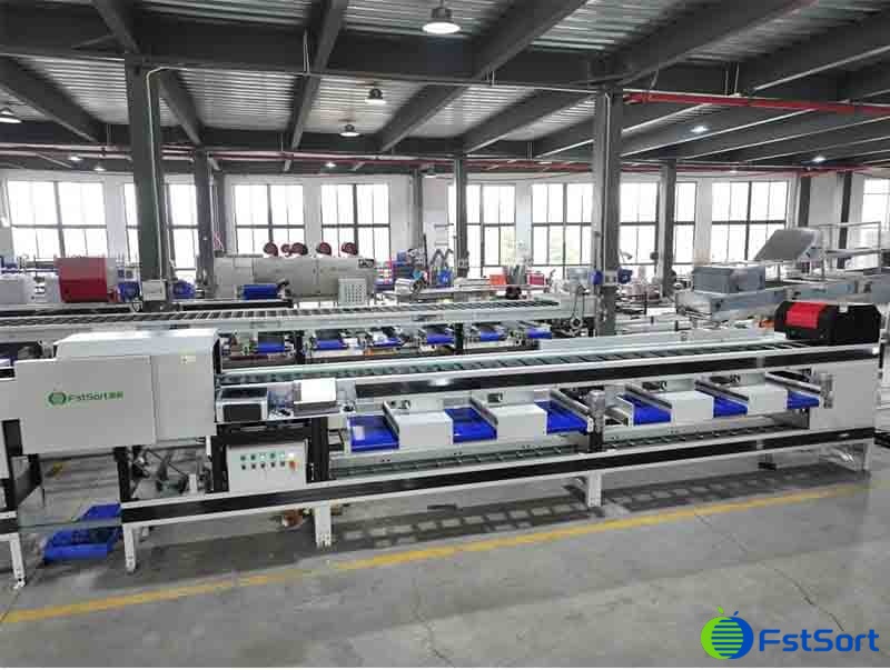 images/1719993668008coconut sorting grading line.jpg